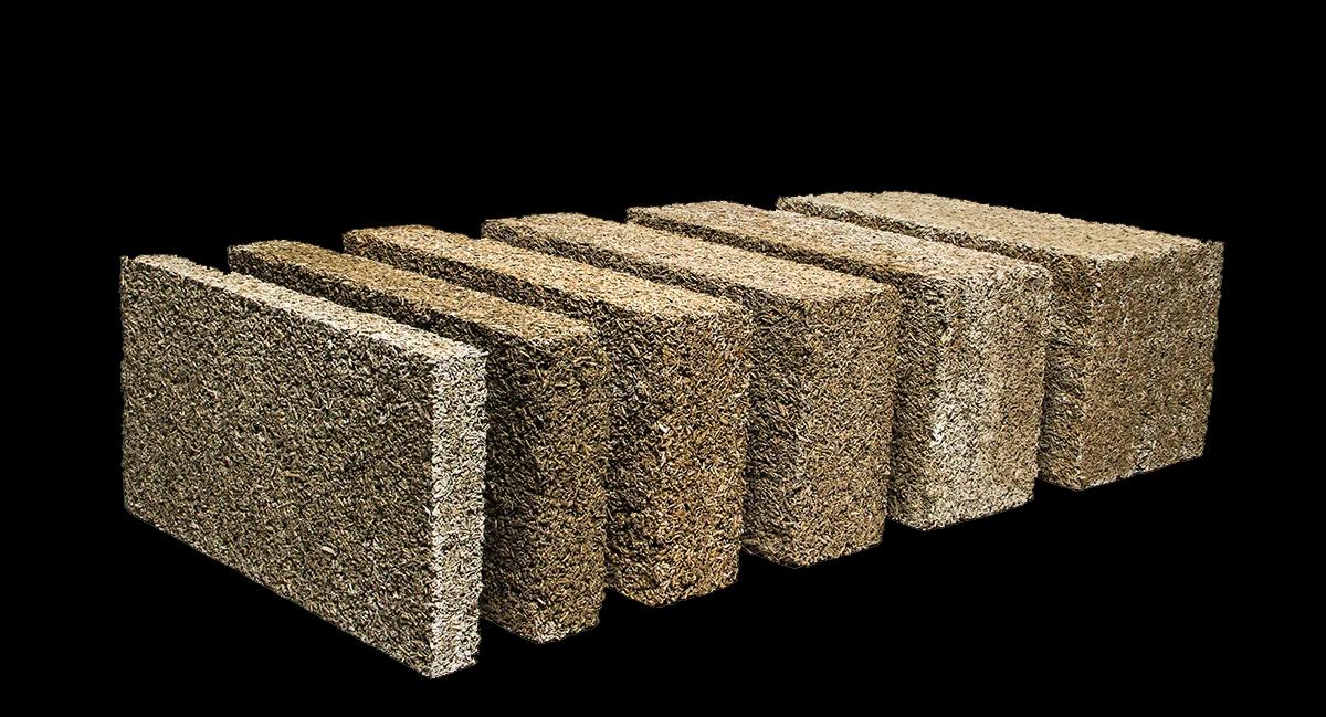 Hempcrete: la innovación sustentable en la construcción con cáñamo y cal