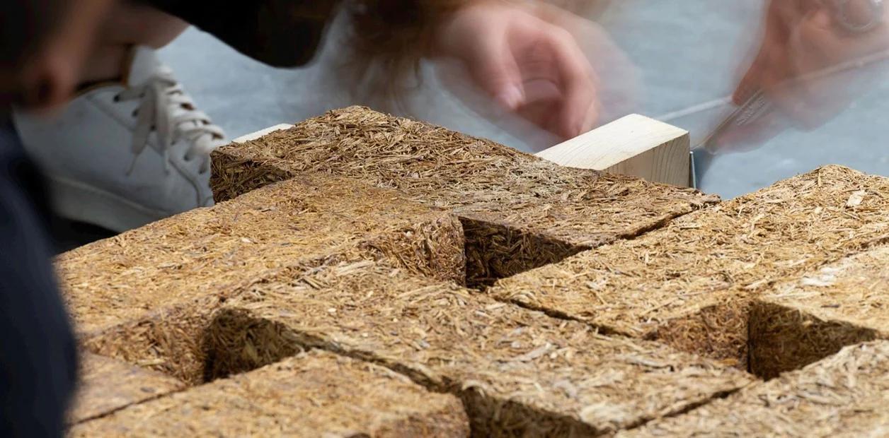 Nuevas alternativas al hormigón convencional con ladrillos biológicos y reciclados