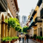 Publicar obras