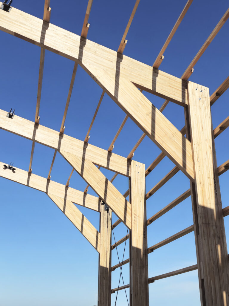 Copia de 20250828_153512 copia