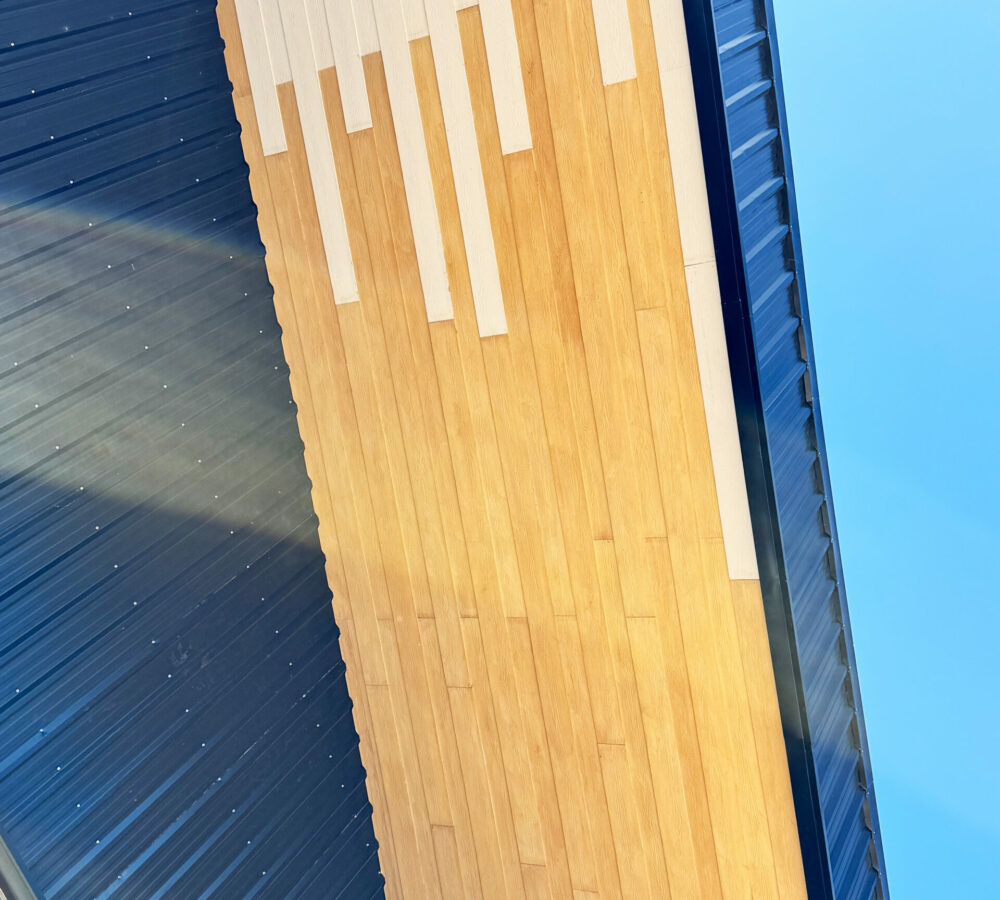 Copia de Copia de IMG_6909 copia